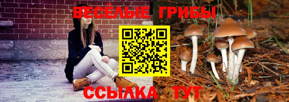 Псилоцибиновые грибы MAGIC MUSHROOMS Изобильный